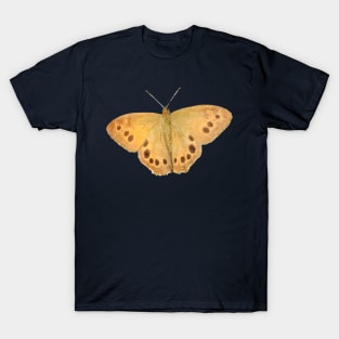 Northern Pearly-Eye Butterfly T-Shirt